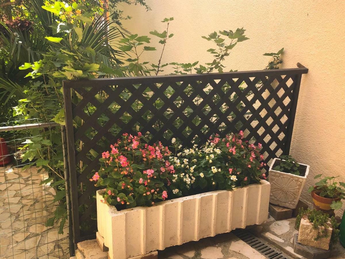 House Maja Apartment Медулин Екстериор снимка