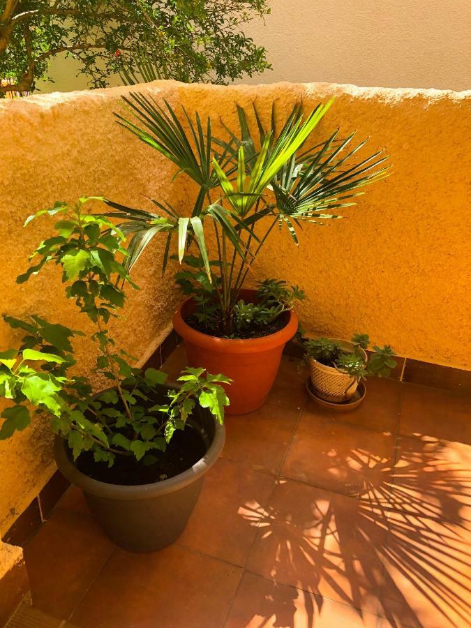 House Maja Apartment Медулин Екстериор снимка